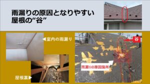 谷からの雨漏り